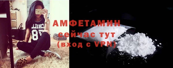 мдпв Вязьма