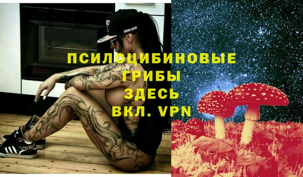 мдпв Вязьма