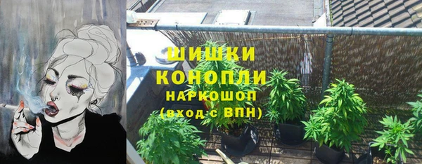 мдпв Вязьма