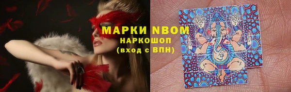 мдпв Вязьма
