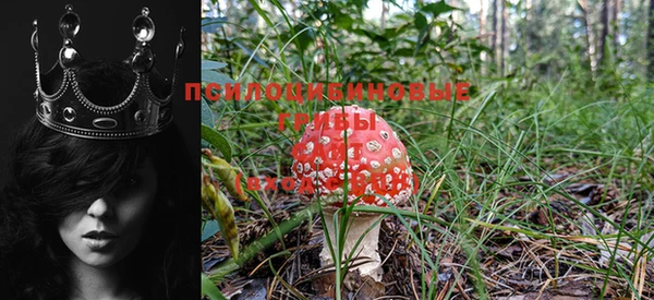марки lsd Вяземский