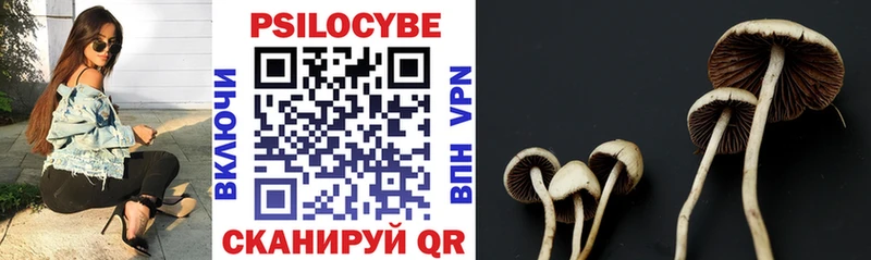 Псилоцибиновые грибы GOLDEN TEACHER  blacksprut зеркало  Афипский 